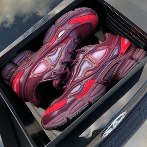 Raf Simons Ozweegos